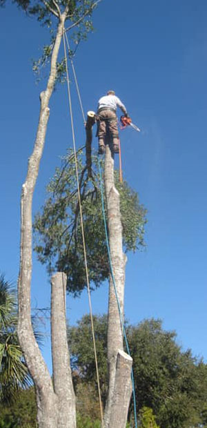 Extreme Sports Mountain Climbing