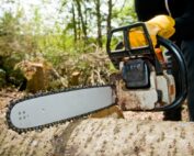 Rising Sun Tree Service: The Best Choice for Tree Removal in Myrtle Beach